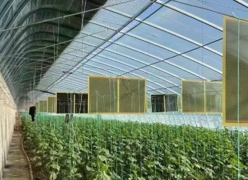 花卉加热板电加热的核心优点是控温精准、局部供暖、安全防潮、操作便捷、适配性强。